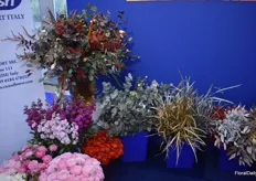 The Ciesse Flower Export stand was filled with interesting (and many golden) flowers and plants.